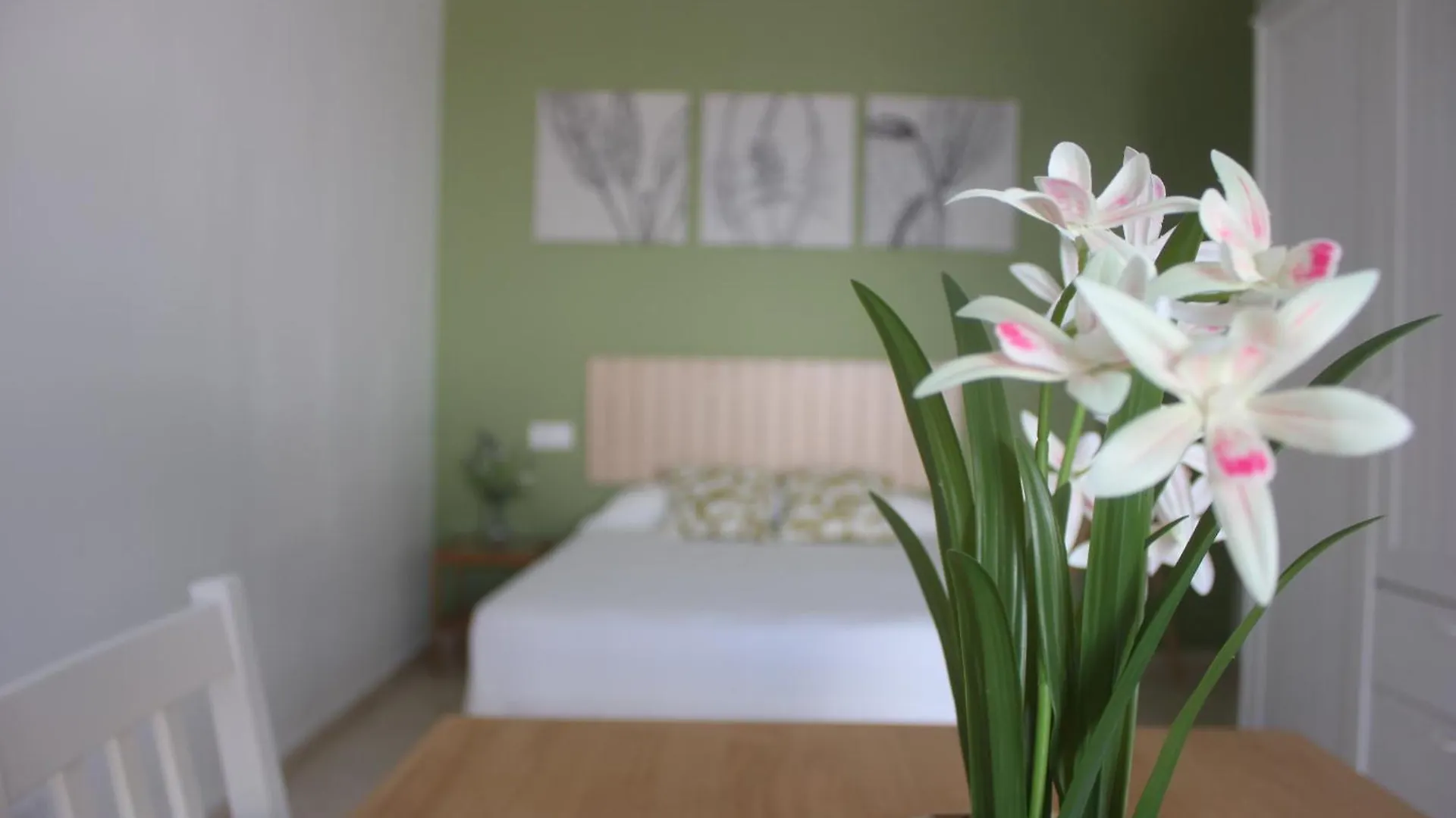Estudio Con Acceso A Piscina Malaga Spain
